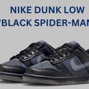 NIKE DUNK LOW SYMBIOTE